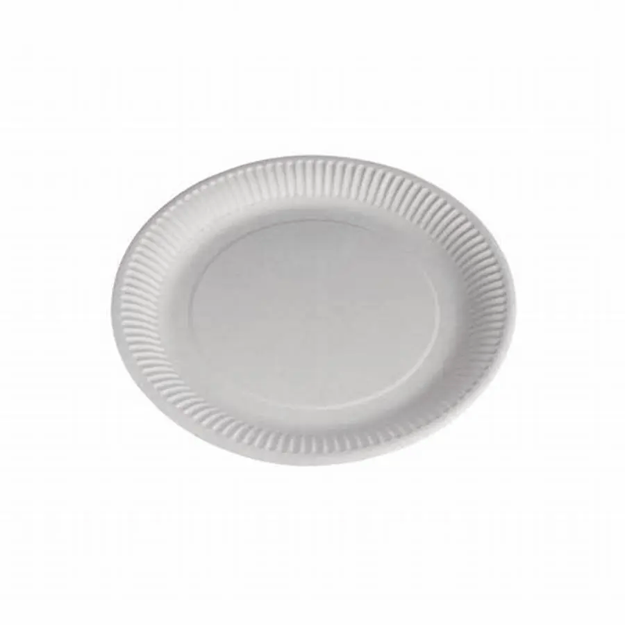 Paper Plate Variant 3