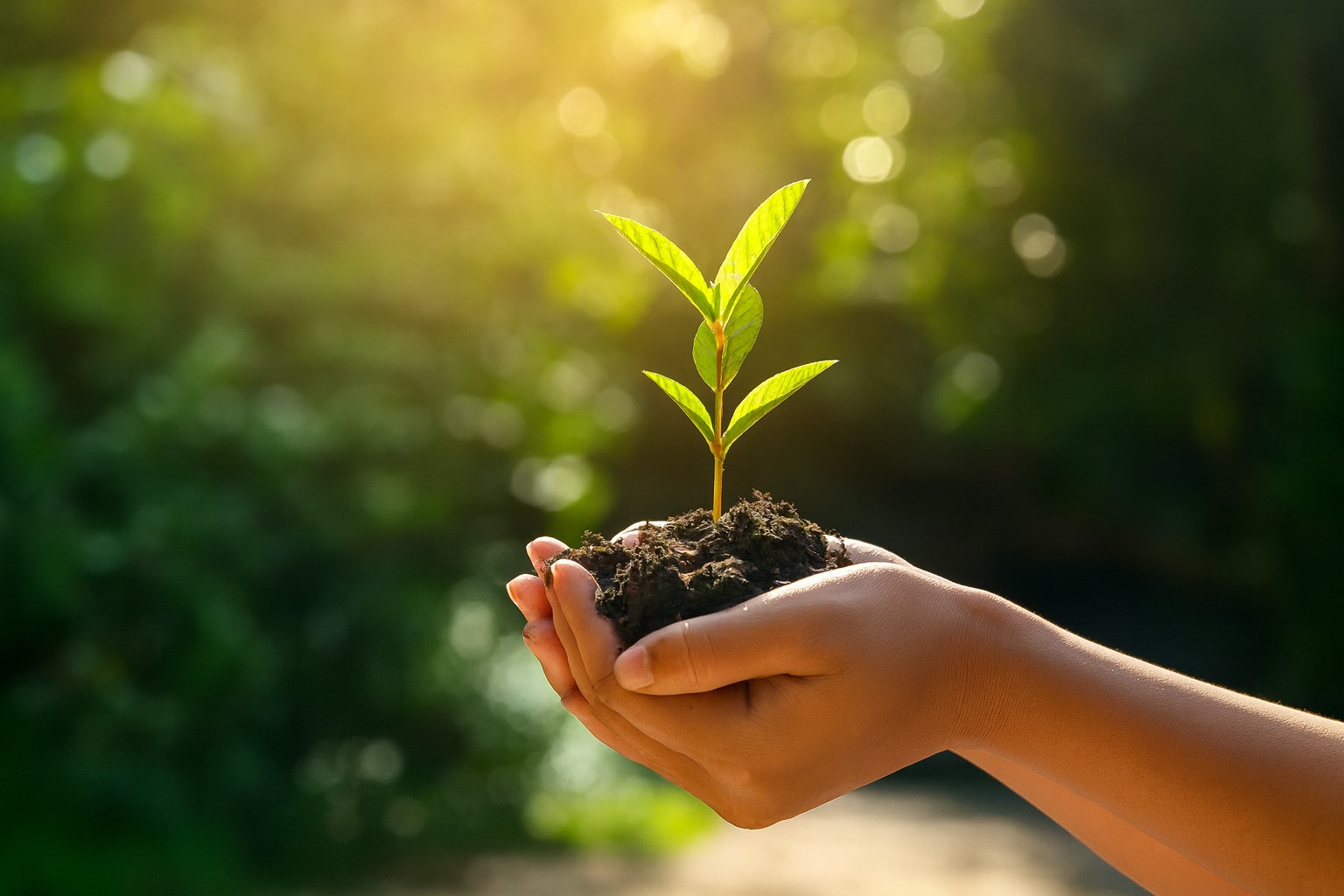 Environmental Sustainability - Green Packs