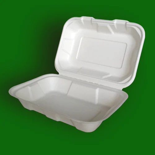 Eco-friendly Disposable Containers Singapore Eco-friendly Disposable Containers Singapore